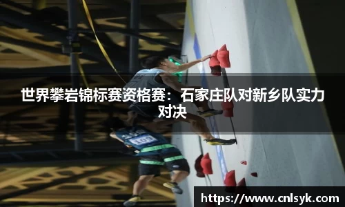 世界攀岩锦标赛资格赛：石家庄队对新乡队实力对决